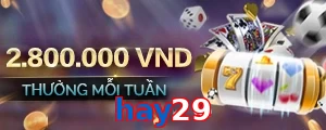 hay29