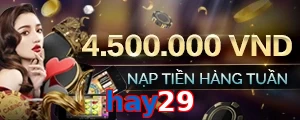 hay29