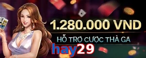hay29