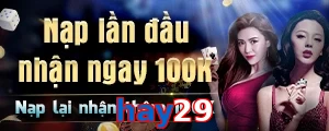 hay29