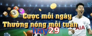 hay29